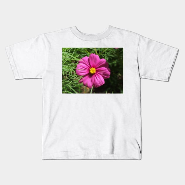 Cosmos Flower Kids T-Shirt by kirstybush
